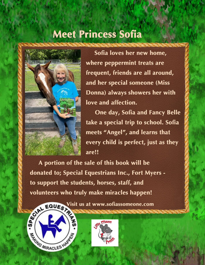Princess Sofia's Special School Adventure